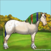 Horse Color:Painted Red Dun Ice Blanket 