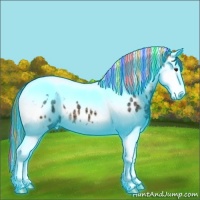 Horse Color:Painted Thunderstruck Brown Ice Dun Sabino Splash Tobiano Appaloosa