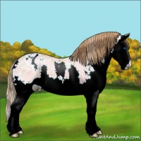Horse Color:Chestnut Ice Sabino Splash Blanket 