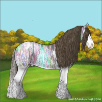 Horse Color:Smoky Black Ice Splash Appaloosa 