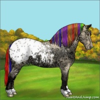 Horse Color:Painted Buckskin Ice Dun Appaloosa 