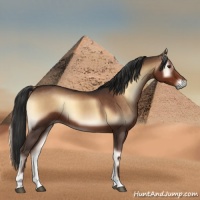 Horse Color:Liver Red Onyx