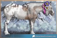Horse Color:White Spotted Brown Roan Dun Blanket Brindle  and White Spotted Grullo Roan Blanket Brindle 