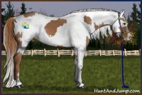 Horse Color:Chestnut Splash Frame  and Chestnut Splash Frame 