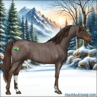 Horse Color:Liver Red Roan 