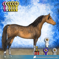 Horse Color:Buckskin Tobiano 