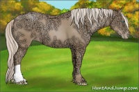 Horse Color:Chocolate Palomino Ice Pearl 