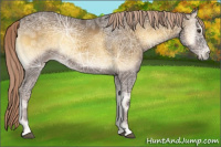 Horse Color:Chocolate Palomino Ice Onyx 