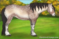 Horse Color:Bay Ice Onyx 