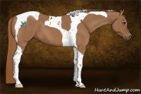 Horse Color:Chestnut Tobiano 
