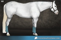 Horse Color:Watercolor White Spotted Bay Sabino Splash 