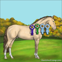 Horse Color:Amber Cream Champagne Roan 