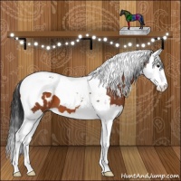 Horse Color:Brown Splash Tobiano Appaloosa 