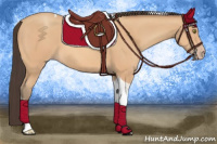 Horse Color:Amber Champagne Tobiano