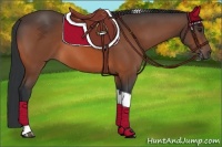 Horse Color:Brown Tobiano 