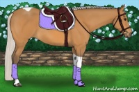 Horse Color:Silver Buckskin Tobiano 