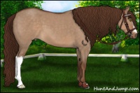 Horse Color:Liver Red Dun Roan 