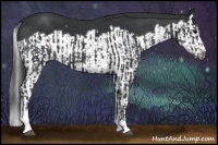 Horse Color:Black Splash Frame  and Black Splash Frame 