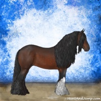 Horse Color:Brown 