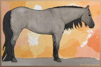 Horse Color:Grullo Roan 