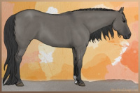 Horse Color:Grullo Roan 
