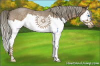 Horse Color:Chocolate Palomino Roan Splash