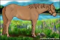 Horse Color:Chestnut Rabicano 