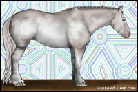 Horse Color:Gray Platinum White Spotted Silver Sable Champagne Dun Splash Frame 