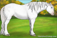 Horse Color:Gray Platinum White Spotted Silver Classic Champagne Roan Dun Splash Frame 