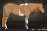Horse Color:Chestnut Tobiano 