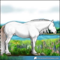 Horse Color:Chocolate Sable Champagne Pearl Dun Appaloosa  and Chocolate Brown Pearl Appaloosa 