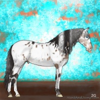 Horse Color:White Spotted Brown Dun Mushroom Splash Tobiano Appaloosa Brindle