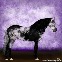 Horse Color:Void Watercolor Silver Amber Cream Champagne Ice Pearl Splash Tobiano Frame