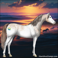 Horse Color:White Spotted Bay Dun Appaloosa 