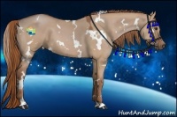 Horse Color:White Spotted Red Dun 