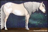 Horse Color:Silver Sable Champagne Dun Sabino Splash Frame Appaloosa