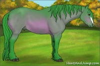 Horse Color:Watercolor Bay 