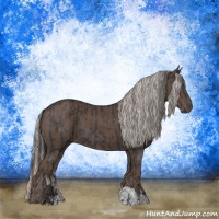 Horse Color:Black and Silver Black