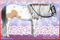 Horse Color:Bay Dun Splash Tobiano