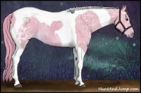 Horse Color:Watercolor Chestnut Ice Tobiano 