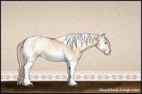 Horse Color:White Spotted Silver Bay Onyx Tobiano