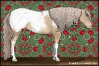 Horse Color:Chocolate Palomino Pearl Appaloosa 