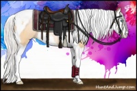 Horse Color:Silver Buckskin Pearl Splash Tobiano Rabicano 