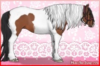 Horse Color:Bay Tobiano 
