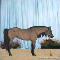 Horse Color:Brown Roan Dun 