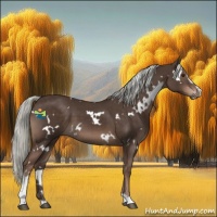 Horse Color:White Spotted Liver Chestnut Mushroom Sabino 