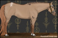 Horse Color:Red Dun Varnish 