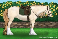 Horse Color:Buckskin Roan Pearl and Buckskin Roan Pearl