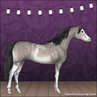 Horse Color:Platinum White Spotted Brown Dun Rabicano 