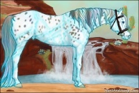 Horse Color:Nacre Thunderstruck Black Splash Appaloosa